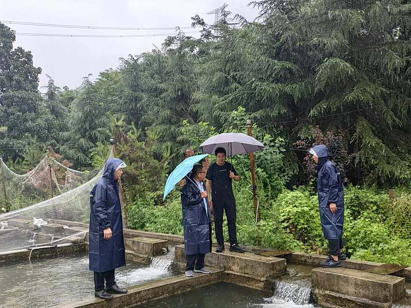 臨渭區(qū)水產(chǎn)工作站強化風險管控   扎實做好漁業(yè)汛期生產(chǎn)指導工作